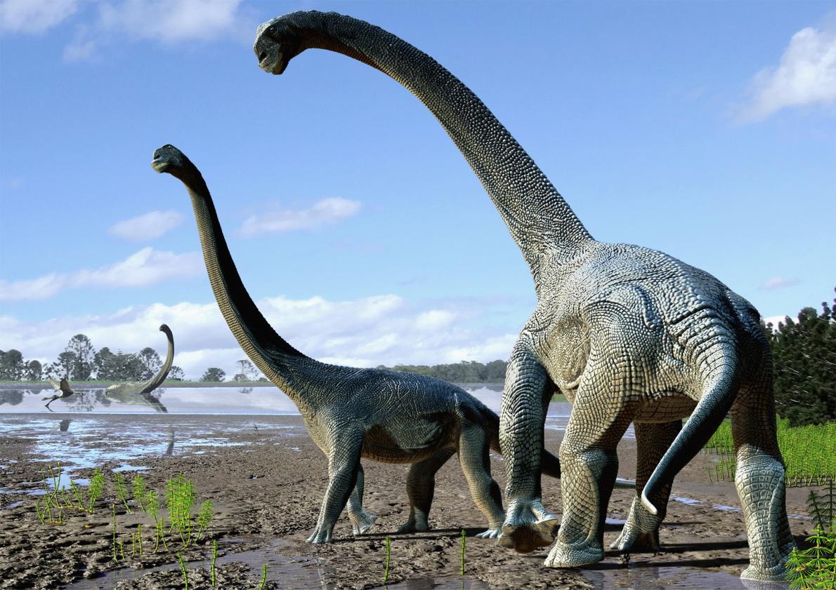 オーストラリアの巨大恐竜 南極大陸を横断か ナショナルジオグラフィック日本版サイト