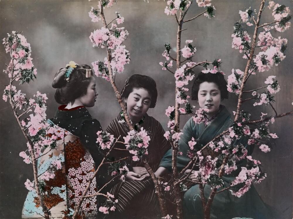 100年前の日本を愛し、世界に伝えた女性記者 ナショナル ジオグラフィック日本版サイト