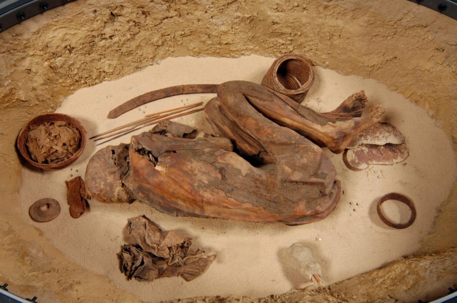 エジプト最古のミイラの防腐剤、証拠を発見、研究 | ナショナル ジオ