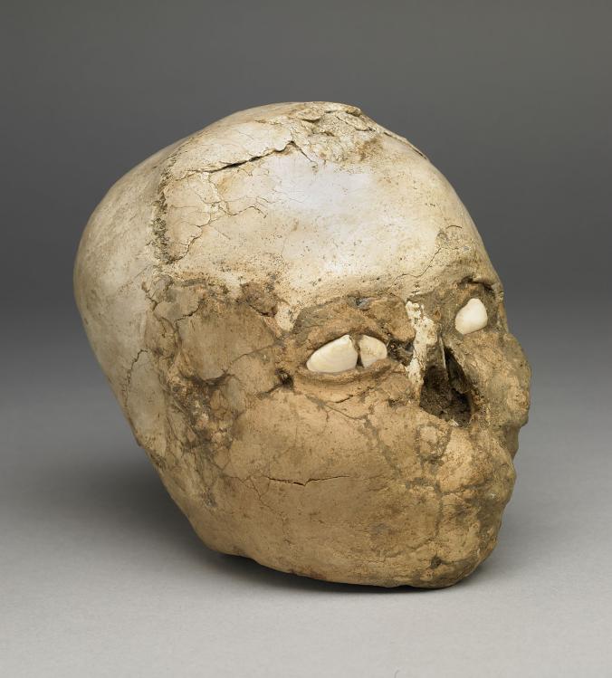 9500年前の奇妙な頭蓋骨 顔の復元に成功 ナショナルジオグラフィック日本版サイト