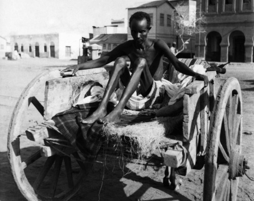 大航海時代の船乗りを震え上がらせた壊血病 ナショナルジオグラフィック日本版サイト 大航海時代の船乗りを震え上がらせた壊血病 ナショナルジオグラフィック日本版サイト