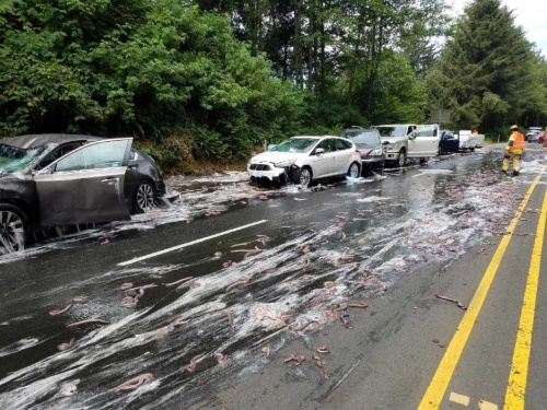 動画 ヌタウナギが散乱 車や道が粘液まみれに ナショナルジオグラフィック日本版サイト 動画 ヌタウナギが散乱 車や道が粘液まみれに ナショナルジオグラフィック日本版サイト