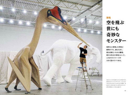大希少！サルコスクス・インペラトルの装甲骨鱗　白亜紀中期　アフリカ 大希少！サルコスクス・インペラトルの装甲骨鱗 白亜紀中期 アフリカ