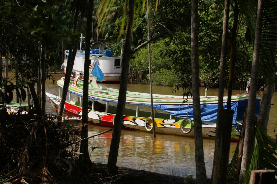 アマゾンの 海賊 に襲撃された家族 無事生還 ナショナルジオグラフィック日本版サイト