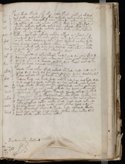 謎のボイニッチ手稿にai 解読方法が判明 ナショナルジオグラフィック日本版サイト 謎のボイニッチ手稿にai 解読方法が判明 ナショナルジオグラフィック日本版サイト