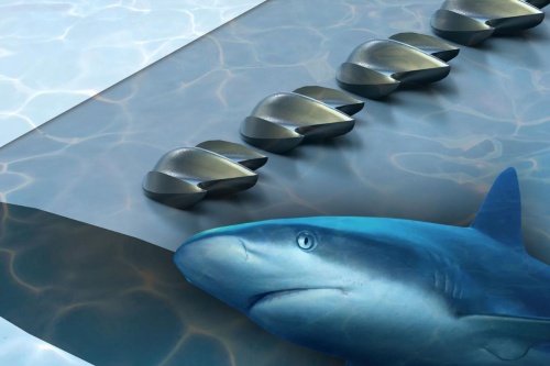 サメ肌を飛行機の翼に付けてみたらすごかった ナショナルジオグラフィック日本版サイト