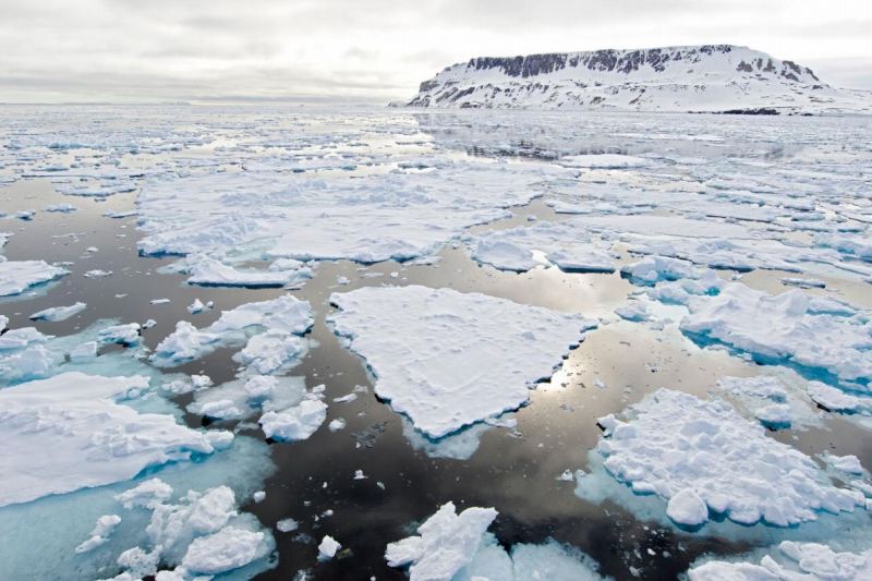 北極海の海氷面積 観測史上2番目の小ささに ナショナルジオグラフィック日本版サイト