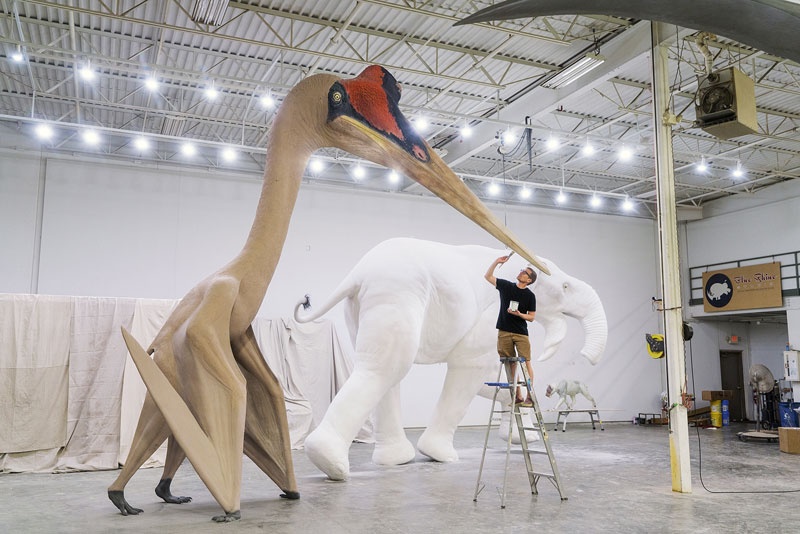 本物　希少　最大種翼竜ケツァルコアトルス　前肢骨化石　ケース付き 本物 希少 最大種翼竜ケツァルコアトルス 前肢骨化石 ケース付き 本物