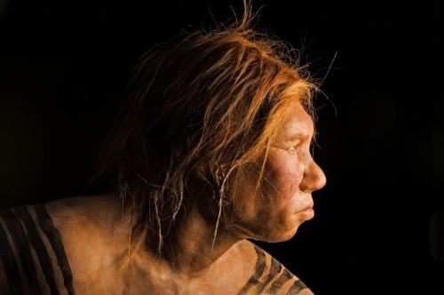 少女の両親は、ネアンデルタール人とデニソワ人ナショナルジオグラフィック日本版サイト