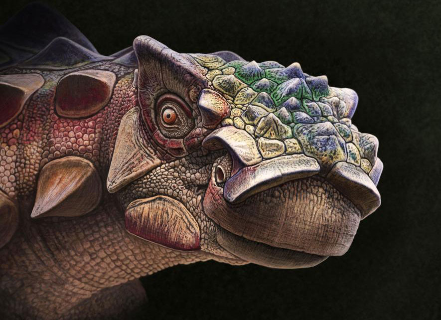 絶滅した動物をどうやってイラストに描くのか ナショナルジオグラフィック日本版サイト