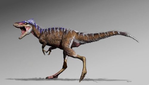小柄なティラノサウルス類の新種発見 人間サイズ ナショナルジオグラフィック日本版サイト