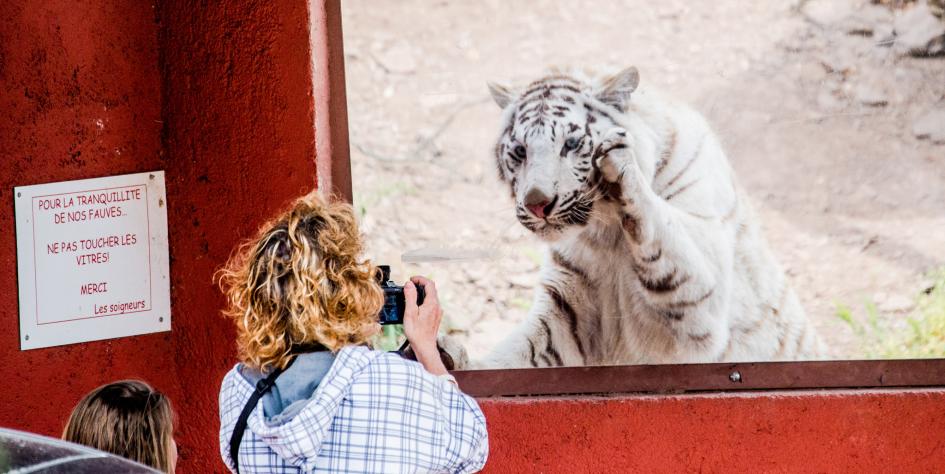 人はなぜ危険を冒して動物と写真を撮るのか ナショナルジオグラフィック日本版サイト