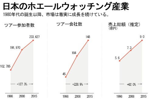 日本のホエールウォッチング産業が急成長 米報告 ナショナルジオグラフィック日本版サイト