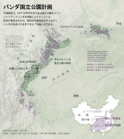 中国 パンダ保護のため巨大国立公園を設立へ ナショナルジオグラフィック日本版サイト