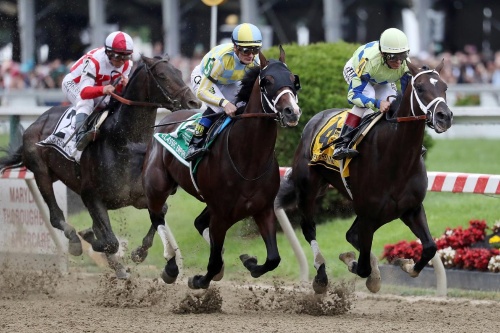 実は危険な競馬、米国では年間約500頭が死亡