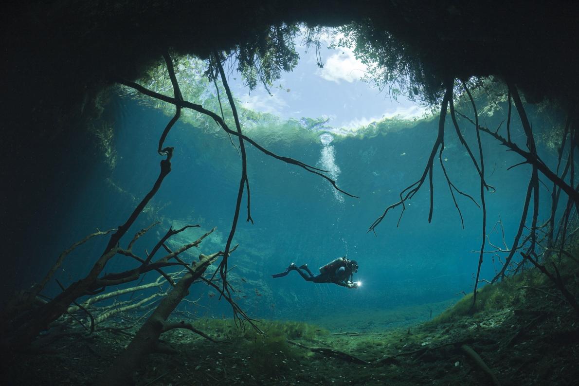 いつか泳ぎたい 神秘の泉セノーテ4選 メキシコ ナショナルジオグラフィック日本版サイト