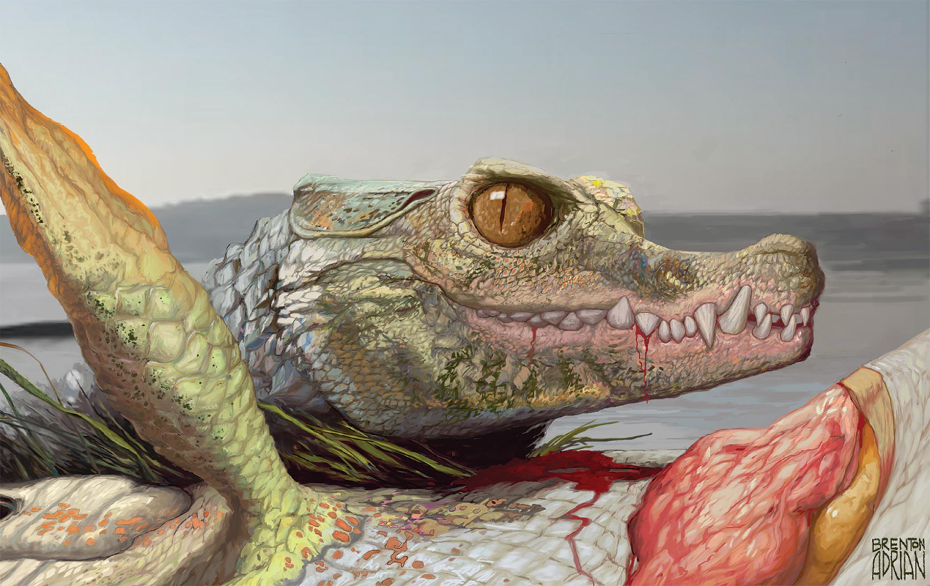 奇妙な新種ワニの化石を発見 雑食だった ナショナルジオグラフィック日本版サイト