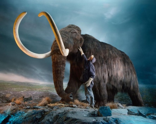 絶滅したマンモスを 絶滅危惧 リストに なぜ ナショナルジオグラフィック日本版サイト