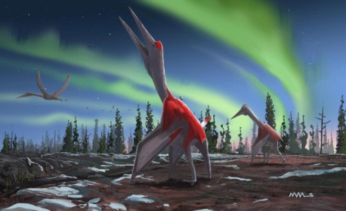 新種の翼竜を発見 カナダ 巨大 には異論も ナショナルジオグラフィック日本版サイト