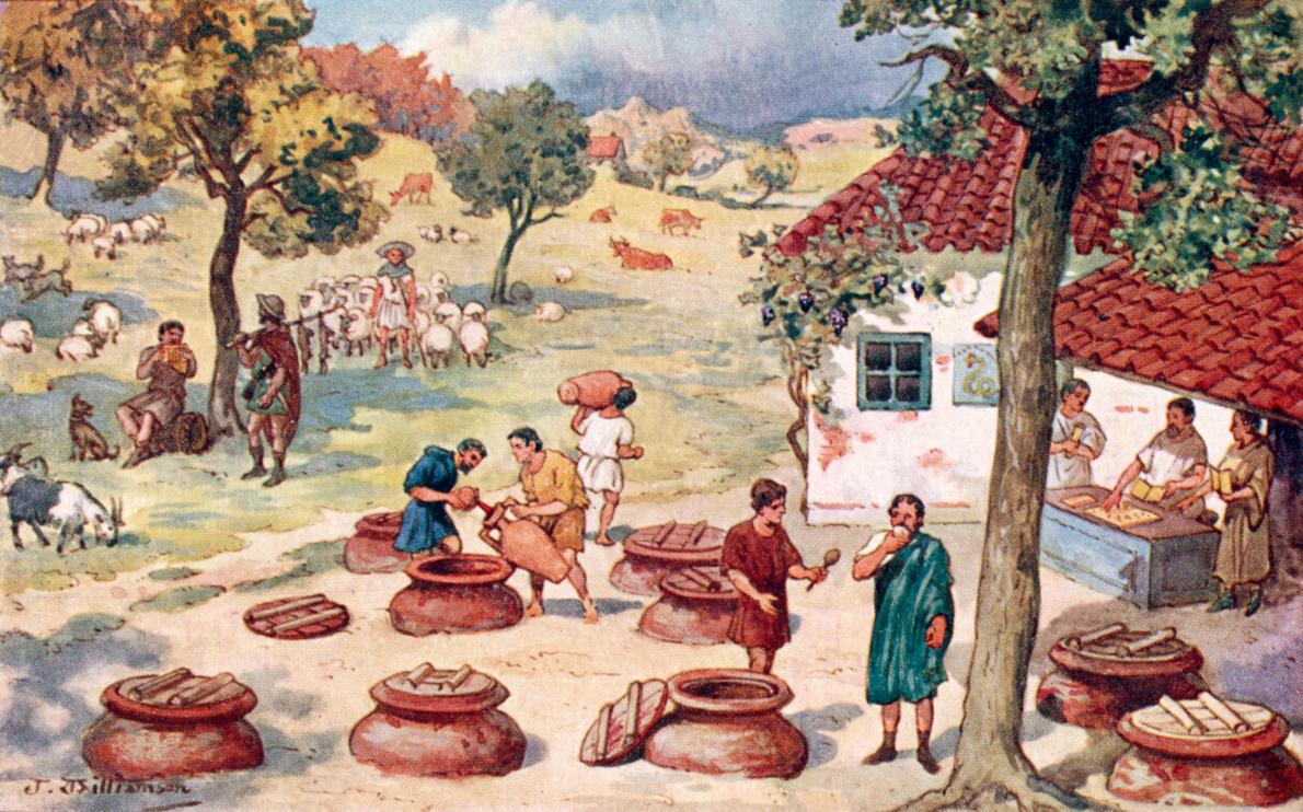 ミハエルさん専用 フランスワイン文化史全書 : ぶどう畑とワイン