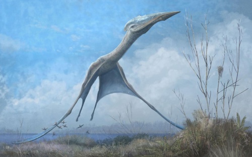 南極にも大型の翼竜、博物館の焼け跡から発見ナショナルジオグラフィック日本版サイト