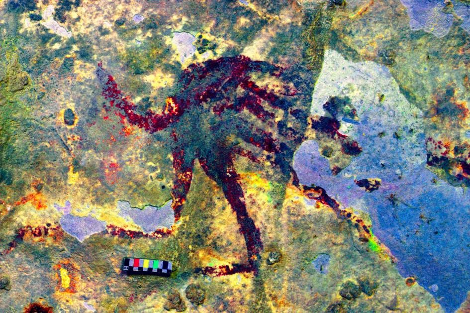 4 4万年前の洞窟壁画を発見 最古の狩猟シーン ナショナルジオグラフィック日本版サイト