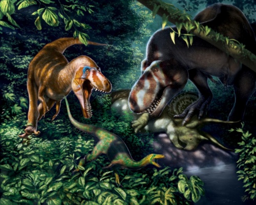 論争中の恐竜 実は若いティラノサウルスだった ナショナルジオグラフィック日本版サイト
