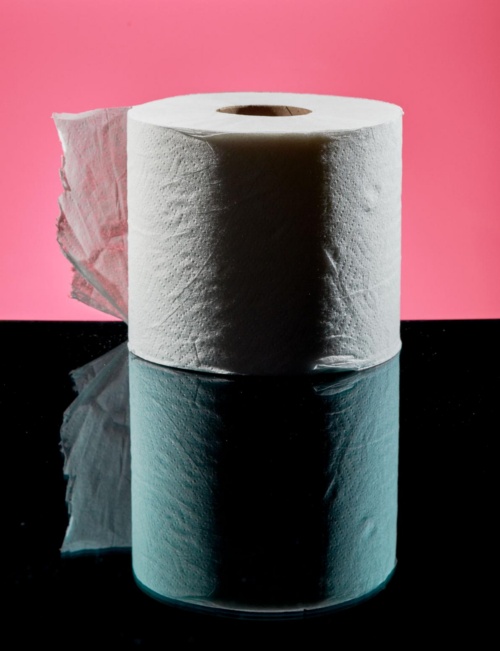 トイレットペーパーがない時代 人々はどうやって尻を拭いたのか ナショナルジオグラフィック日本版サイト