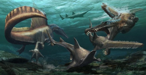 スピノサウルスの意外な尾を発見 実は泳ぎが得意だった ナショナルジオグラフィック日本版サイト スピノサウルスの意外な尾を発見 実は泳ぎが得意だった ナショナルジオグラフィック日本版サイト