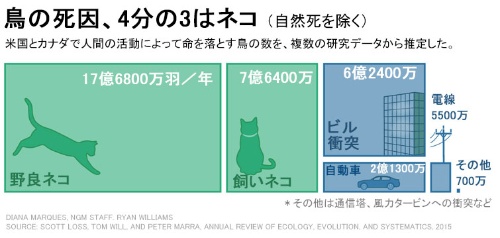 ネコに殺された232匹の動物たち 一枚の写真に ナショナルジオグラフィック日本版サイト