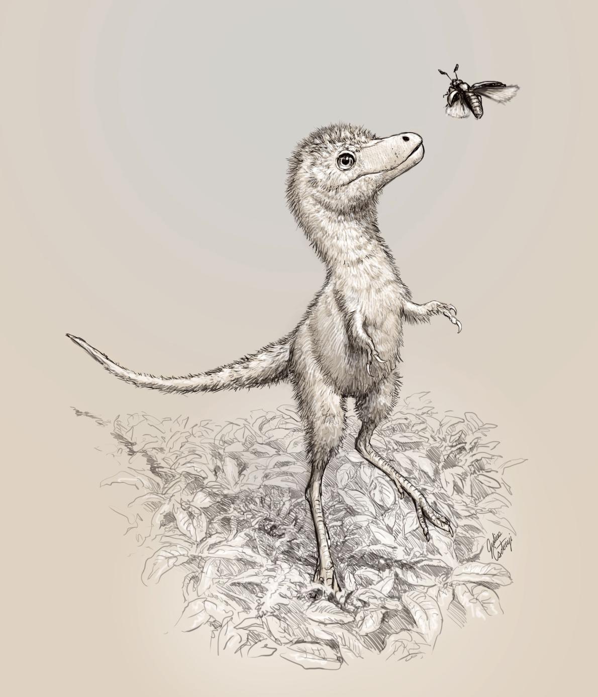 孵化前のティラノサウルス類の化石を発見 初 ナショナルジオグラフィック日本版サイト