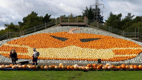 英国トットンのサニーフィールズ・ファーム。2020年は5000個以上のカボチャを使用し、マスクを着けたジャック・オ・ランタンが描かれた。(PHOTOGRAPH BY HENRY STEPHENS, ALAMY)