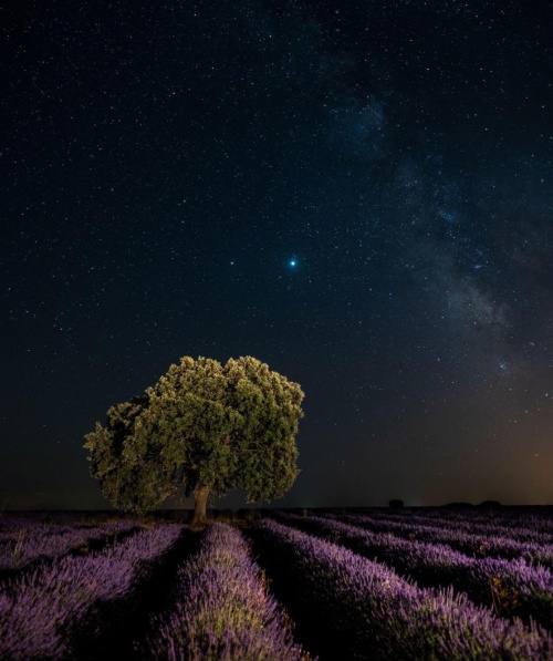 21日に木星と土星が大接近 ここまで近いのは400年ぶり ナショナル ジオグラフィック日本版サイト 21日に木星と土星が大接近 ここまで近いのは400年ぶり ナショナル ジオグラフィック日本版サイト