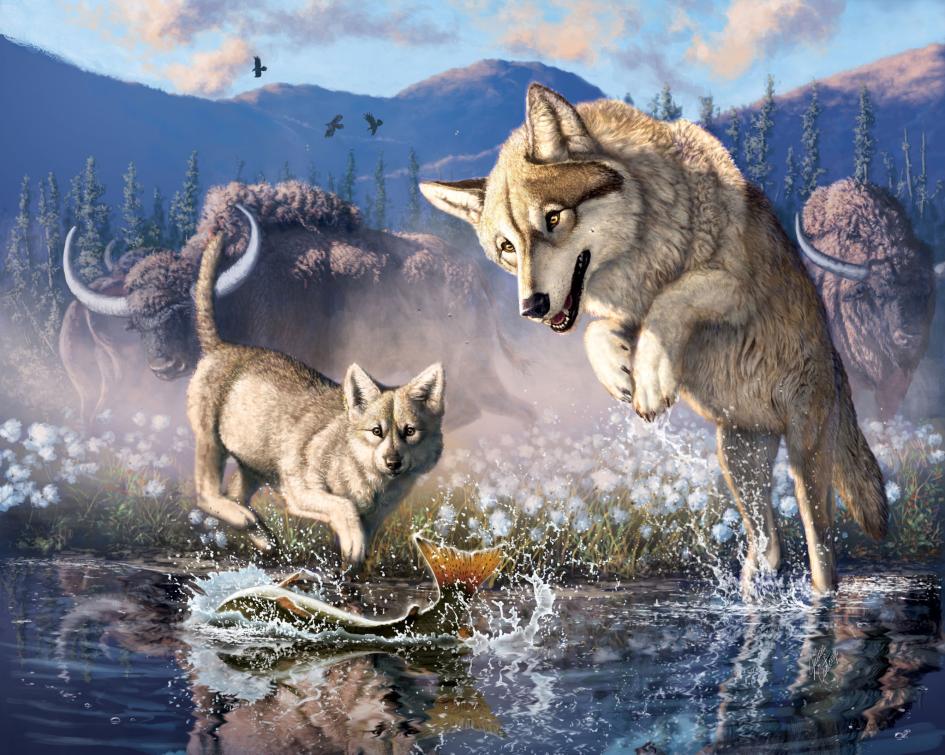オオカミの凍結ミイラを発見 5 7万年前のユーコンに生息 ナショナルジオグラフィック日本版サイト