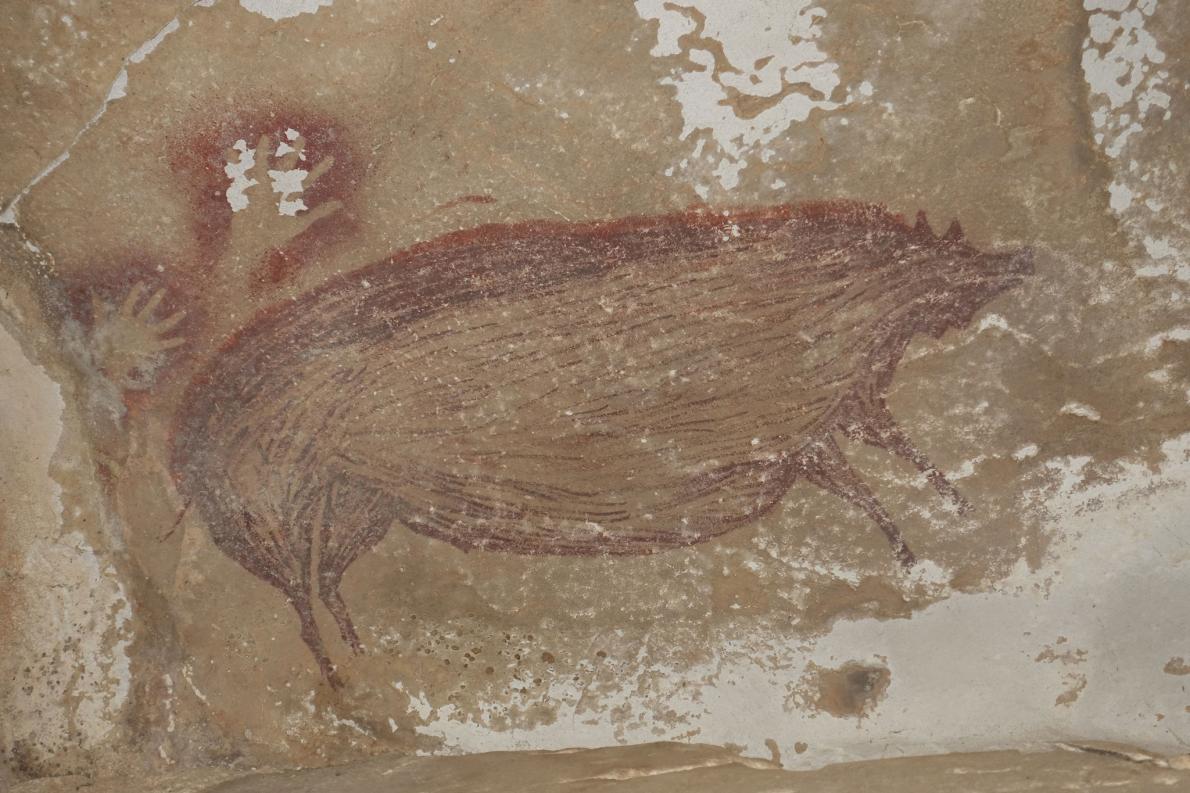4 5万年前のイノシシの洞窟壁画 最古の動物画を発見 ナショナルジオグラフィック日本版サイト