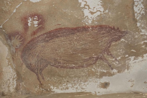 4 5万年前のイノシシの洞窟壁画 最古の動物画を発見 ナショナルジオグラフィック日本版サイト 4 5万年前のイノシシの洞窟壁画 最古の動物画を発見 ナショナルジオグラフィック日本版サイト