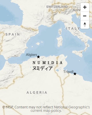 古代ローマを賄賂で操ったアフリカ王「ユグルタ」ナショナルジオグラフィック日本版サイト