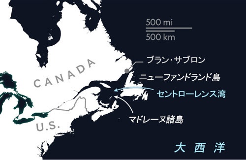 アザラシの繁殖地で氷不足 ふわふわの赤ちゃん出没せず ナショナルジオグラフィック日本版サイト アザラシの繁殖地で氷不足 ふわふわの赤ちゃん出没せず ナショナルジオグラフィック日本版サイト