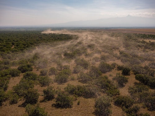 東アフリカのバッタ大群 大量の殺虫剤に 相当な 環境リスク ナショナルジオグラフィック日本版サイト 東アフリカのバッタ大群 大量の殺虫剤に 相当な 環境リスク ナショナルジオグラフィック日本版サイト