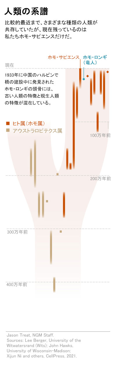 中国で発見された人類の頭骨 新種 竜人 と報告 懐疑の声も ナショナルジオグラフィック日本版サイト