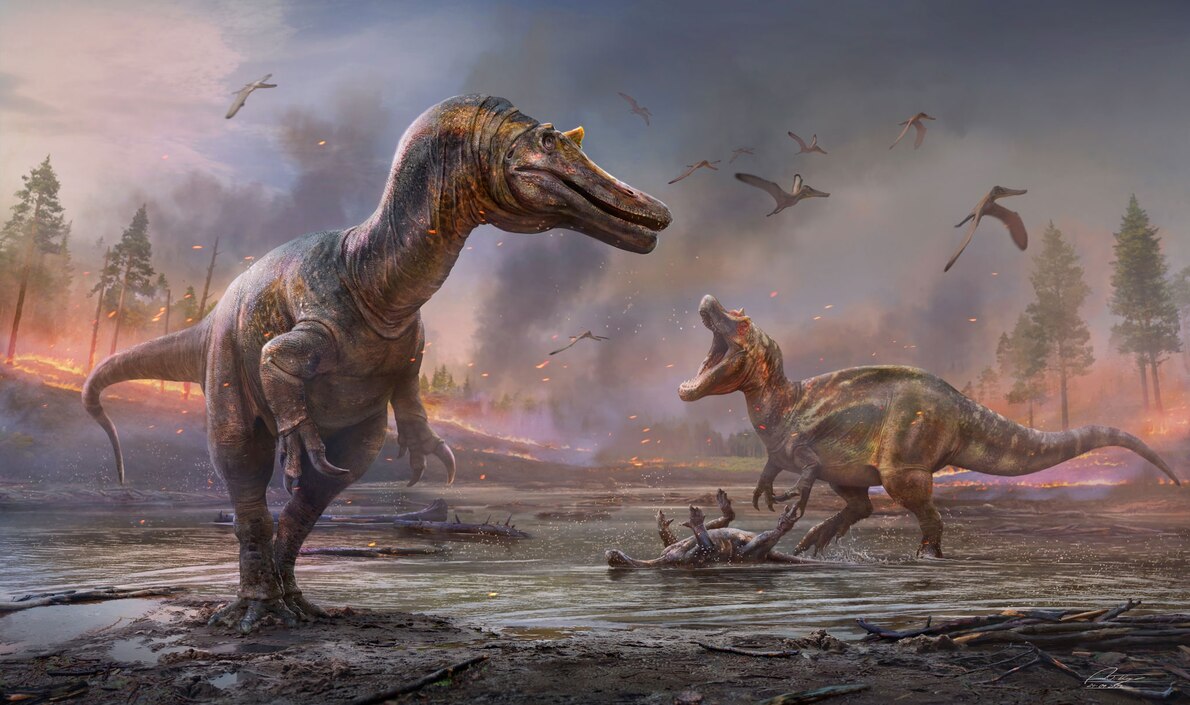 恐竜の新種が2種見つかる、スピノサウルスの仲間、英国 | ナショナル
