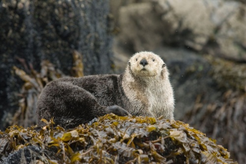 Qgbycrauglqfmm Qgbycrauglqfmm