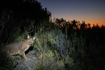 2dfdeloqkj72xm 2dfdeloqkj72xm