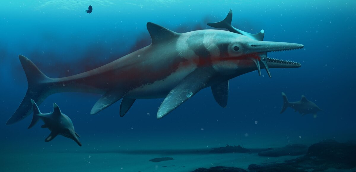 巨大な魚竜の化石が見つかる、英国最大、万年前   ナショナル
