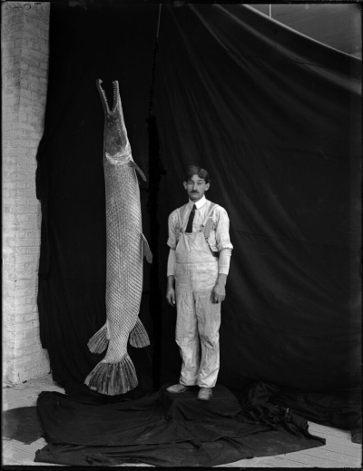 巨大魚アリゲーターガーは生きた化石 殺さない新手法 で研究 ナショナル ジオグラフィック日本版サイト 巨大魚アリゲーターガーは生きた化石 殺さない新手法 で研究 ナショナル ジオグラフィック日本版サイト