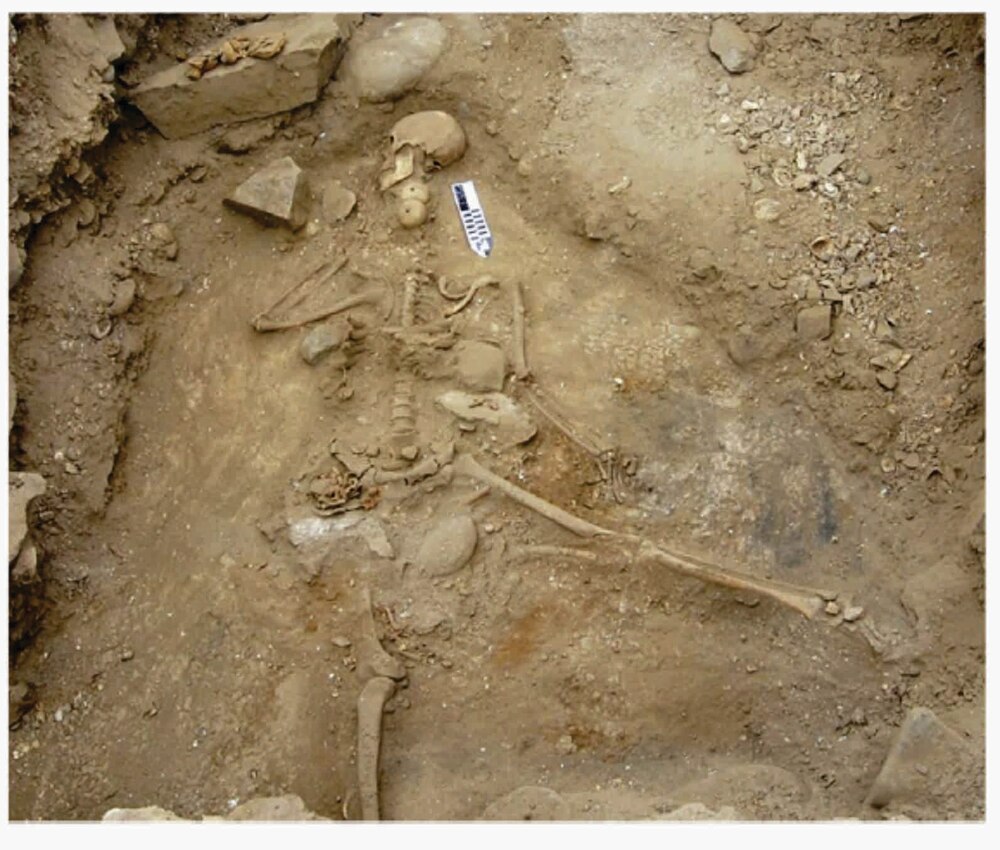 先史時代の津波の犠牲者はどこに？ 法医学の応用で考古学に光明