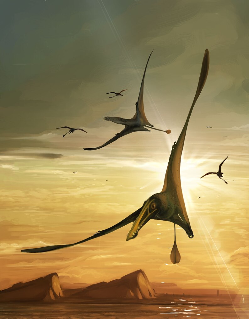 ジュラ紀の翼竜の新種を発見、アホウドリ大、当時としては最大級