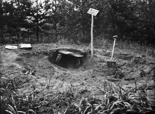 女性の遺骨は男の子の遺骨とともにラグマンセーレンという集落にある石造りの墓で100年前に発見された。(ALAMY)