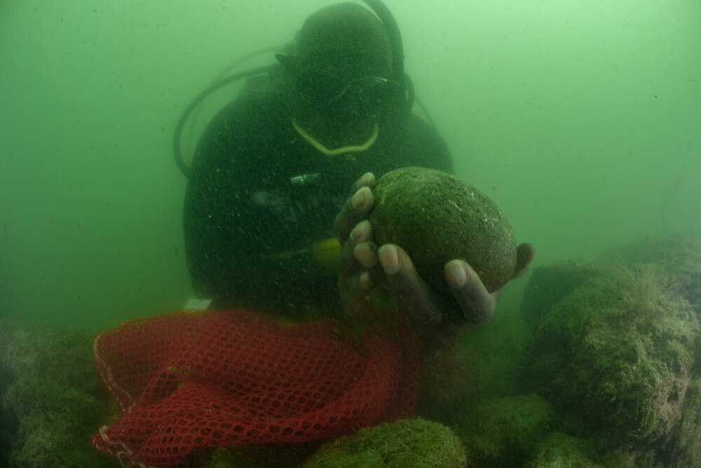 海底の奴隷船を探して | ナショナル ジオグラフィック日本版サイト