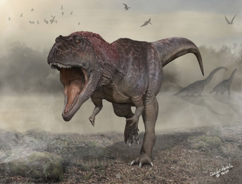 ティラノサウルス似の大型肉食恐竜を発見 別グループの新種 ナショナル ジオグラフィック日本版サイト ティラノサウルス似の大型肉食恐竜を発見 別グループの新種 ナショナル ジオグラフィック日本版サイト